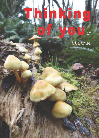 Thinking of you (r dick). Funny Love Everyday Greeting Card
